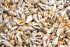 Beige and White Speckled Small Shells - 1 Kg